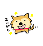 柴犬ムクちゃんスタンプ（個別スタンプ：6）