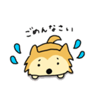 柴犬ムクちゃんスタンプ（個別スタンプ：10）