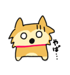 柴犬ムクちゃんスタンプ（個別スタンプ：11）