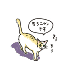 心を伝える言葉をうちの猫が呟きます（個別スタンプ：20）