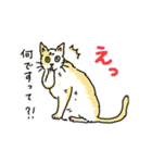 心を伝える言葉をうちの猫が呟きます（個別スタンプ：25）