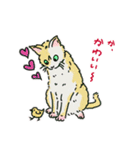 心を伝える言葉をうちの猫が呟きます（個別スタンプ：27）