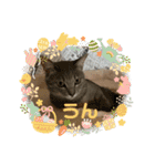 こんにゃく③（個別スタンプ：11）