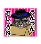 ★リアルキジトラ★笑える猫写真9(修正版)（個別スタンプ：21）