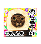 ★リアルキジトラ★笑える猫写真9(修正版)（個別スタンプ：25）