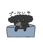 ポメチーヤマト3（個別スタンプ：1）