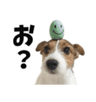 ごきげん健介くん(修正版）（個別スタンプ：16）