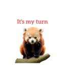 レッサーパンダ red panda2（個別スタンプ：10）