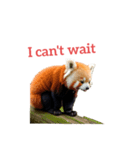 レッサーパンダ red panda2（個別スタンプ：14）