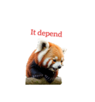 レッサーパンダ red panda2（個別スタンプ：21）