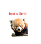 レッサーパンダ red panda2（個別スタンプ：22）