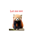 レッサーパンダ red panda2（個別スタンプ：24）