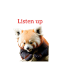 レッサーパンダ red panda2（個別スタンプ：25）