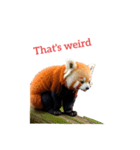 レッサーパンダ red panda2（個別スタンプ：34）