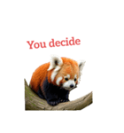 レッサーパンダ red panda2（個別スタンプ：35）