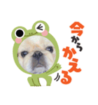 チーム花（個別スタンプ：5）