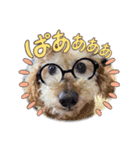 チーム花（個別スタンプ：8）