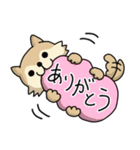 スーパー柴犬ちゃん 2（個別スタンプ：3）