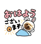 わんわんスタンプ4 犬 プードル マルチーズ（個別スタンプ：4）