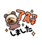 わんわんスタンプ4 犬 プードル マルチーズ（個別スタンプ：38）