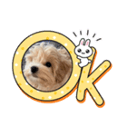 鶴岡犬（個別スタンプ：4）