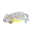 鶴岡犬（個別スタンプ：7）