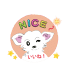 whiteチワワんこ 犬の日！（個別スタンプ：6）