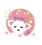 whiteチワワんこ 犬の日！（個別スタンプ：7）