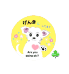 whiteチワワんこ 犬の日！（個別スタンプ：14）