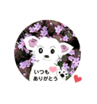 whiteチワワんこ 犬の日！（個別スタンプ：22）