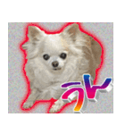 ナイスいぬ（個別スタンプ：2）