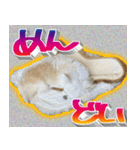 ナイスいぬ（個別スタンプ：7）