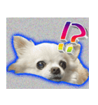 ナイスいぬ（個別スタンプ：12）
