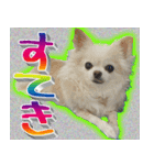 ナイスいぬ（個別スタンプ：14）
