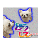 ナイスいぬ（個別スタンプ：23）