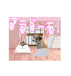 我らがワンコ2～動くよVer～（個別スタンプ：3）