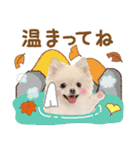 かわいい犬❤️飛び出す❤️ポメ❤️秋（個別スタンプ：19）