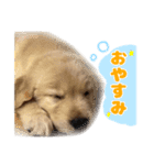 てんぷら日記（個別スタンプ：5）