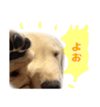てんぷら日記（個別スタンプ：6）