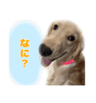 てんぷら日記（個別スタンプ：17）