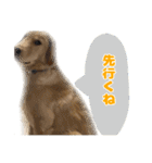 てんぷら日記（個別スタンプ：21）