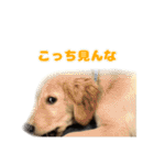てんぷら日記（個別スタンプ：22）