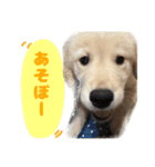 てんてんぷらぷら（個別スタンプ：9）