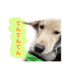 てんてんぷらぷら（個別スタンプ：17）