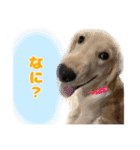 てんてんぷらぷら（個別スタンプ：18）