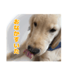 てんてんぷらぷら（個別スタンプ：20）