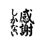 【40個】御礼,了解,謝罪等シンプル筆文字（個別スタンプ：3）