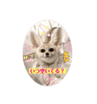 可愛いフェネックバニラファミリー（個別スタンプ：3）