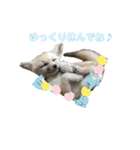 可愛いフェネックバニラファミリー（個別スタンプ：4）