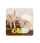 可愛いフェネックバニラファミリー（個別スタンプ：8）